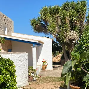 Xicu Castello Sant Ferran de Ses Roques
